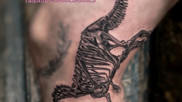  graphicaderme-tamarachaudesaigues-dinosaurs-tatouagedinosaure-tatouagesquelettedinosaure-meilleurstatoueursavignon-tatoueurschaudesaigues-tatouagepascher-meilleurstatoueurs